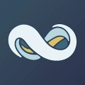 Netsuite.webp